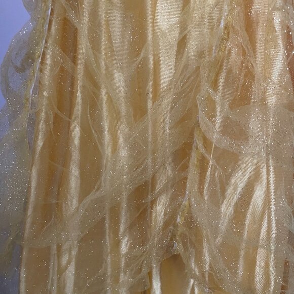 Belle Princess Costume - Picture 4 of 15